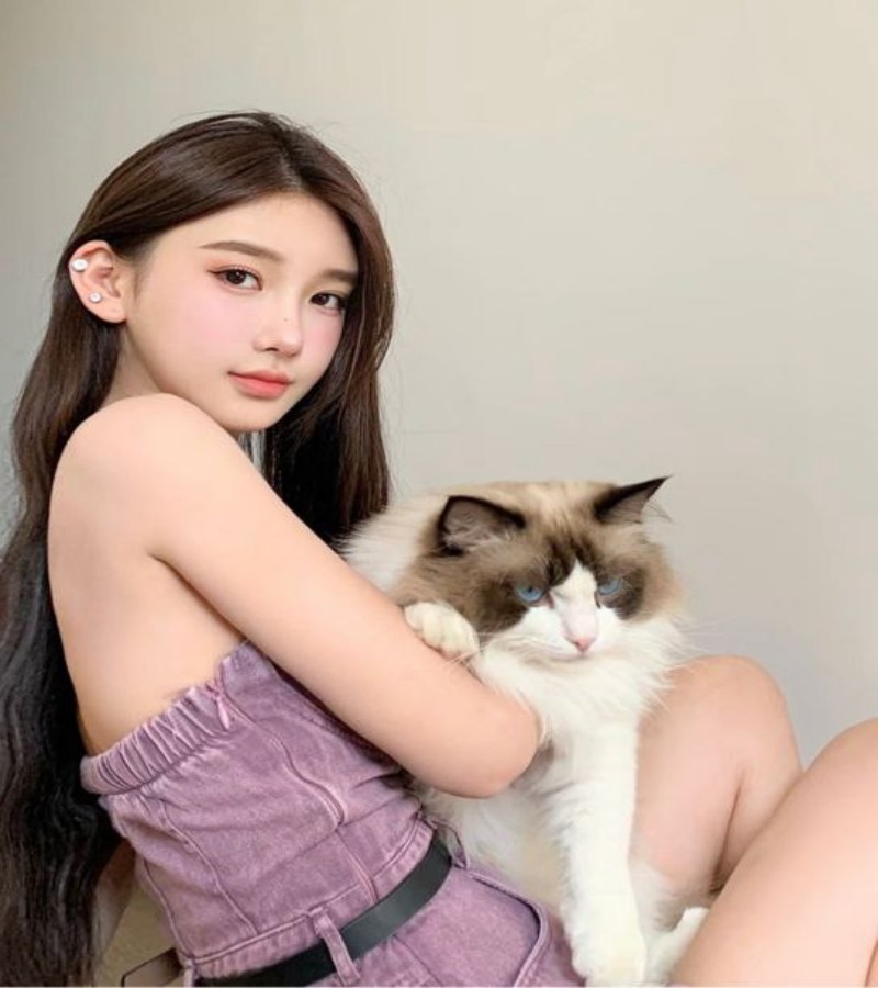 哔哩哔哩免费在线观看樱花版,手机高清在线观看